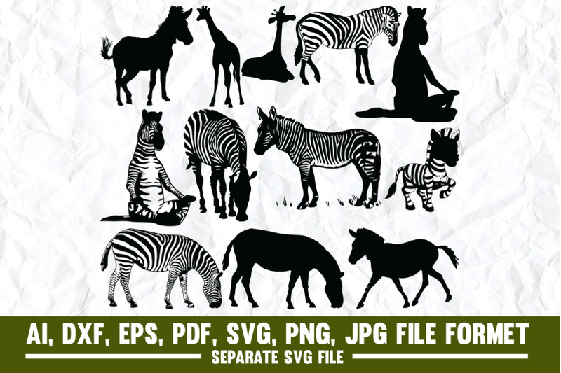 zebra-animal-zebra-print-animals-stripes-africa-cute-safari-bl