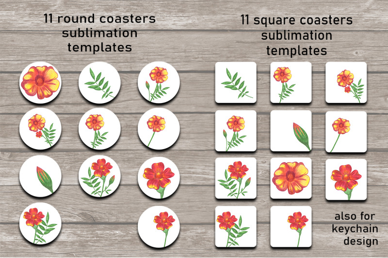 marigold-flowers-coaster-sublimation-design-bundle