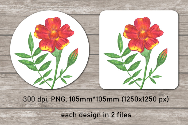 marigold-flowers-coaster-sublimation-design-bundle