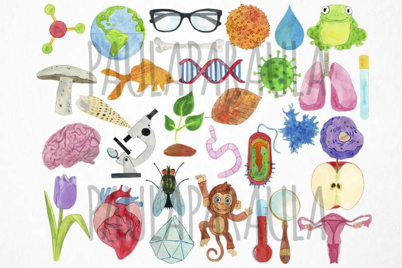 watercolor-biology-clipart-biologist-clipart-science-clipart