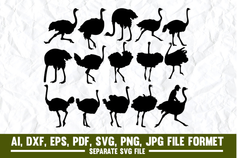 ostrich-emu-clip-art-flat-design-bird-cartoon-mascot-africa-an