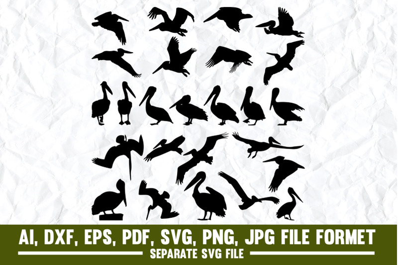 pelican-flying-bird-crane-bird-sea-bird-animal-animal-body-pa