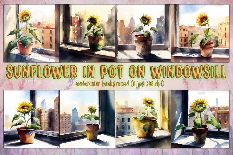 sunflower-in-pot-on-windowsill