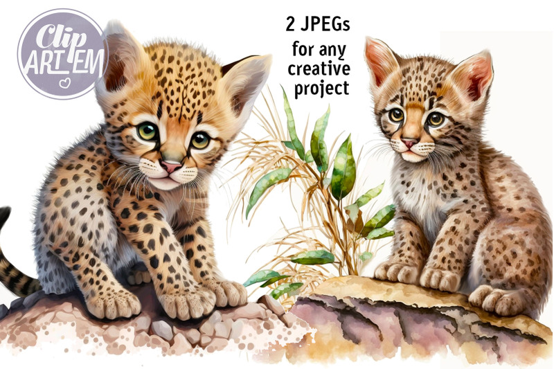 cute-wild-kitten-2-jpegs-wall-art-like-cheetah-cat-images