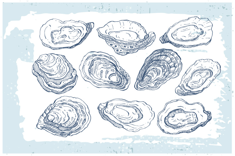 oysters-sketch-ink-drawing