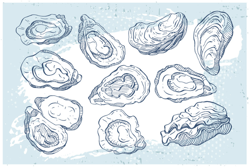 oysters-sketch-ink-drawing