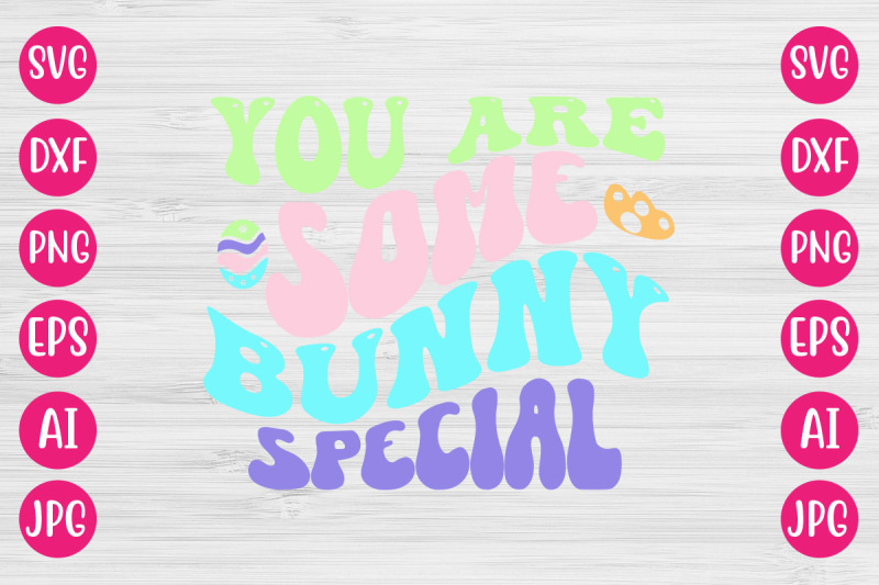 you-are-some-bunny-special-retro-design