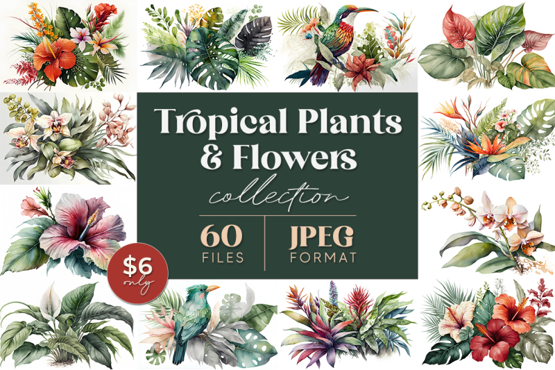 tropical-plants-and-flowers-watercolor-collection