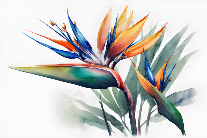 tropical-plants-and-flowers-watercolor-collection