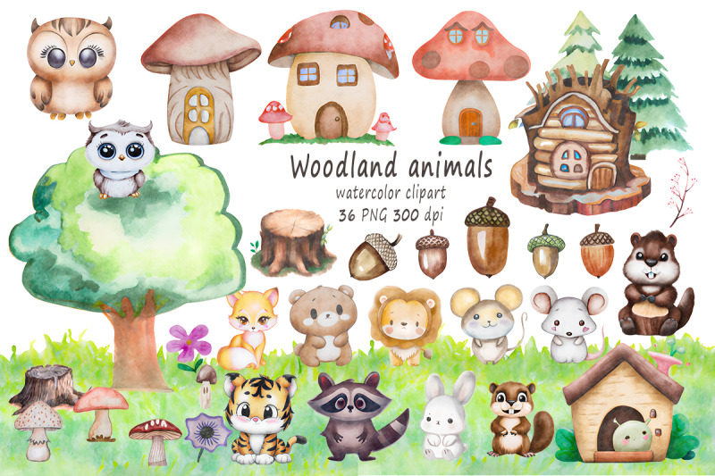 woodland-animal-watercolor-clipart-set-png