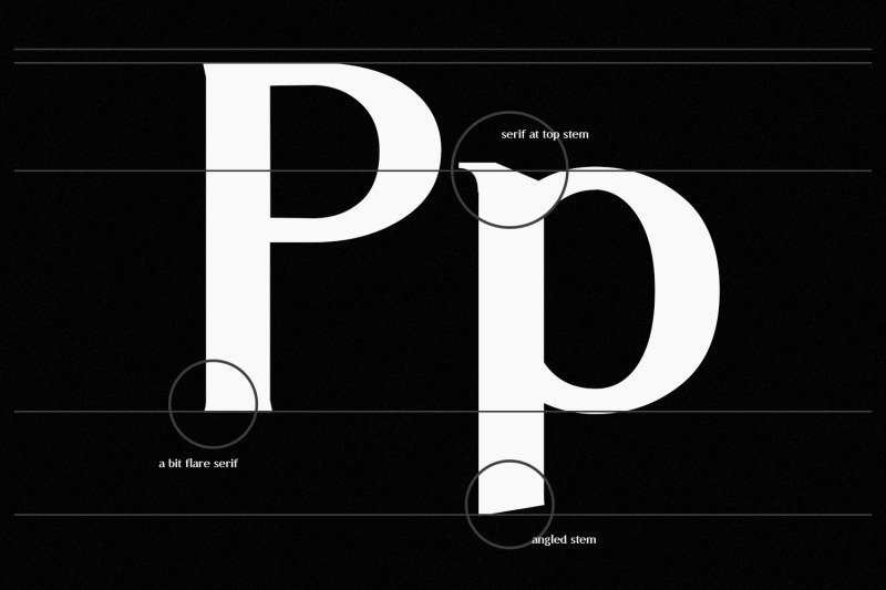 abigar-fashion-semi-serif-display-font