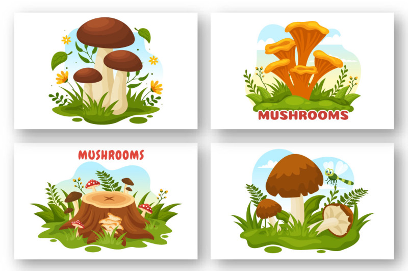 13-mushrooms-design-illustration