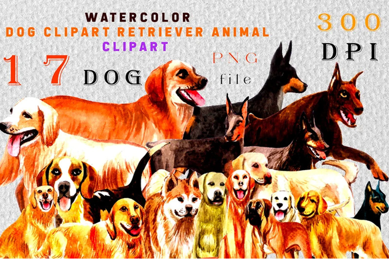 quot-pet-digital-clipart-collection-large-sized-dog-watercolors-with-acce