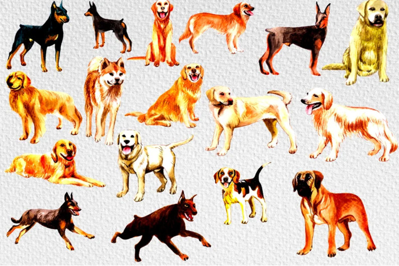 quot-pet-digital-clipart-collection-large-sized-dog-watercolors-with-acce