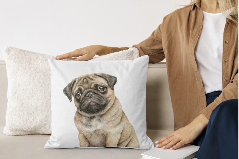 pug-dogs-clipart