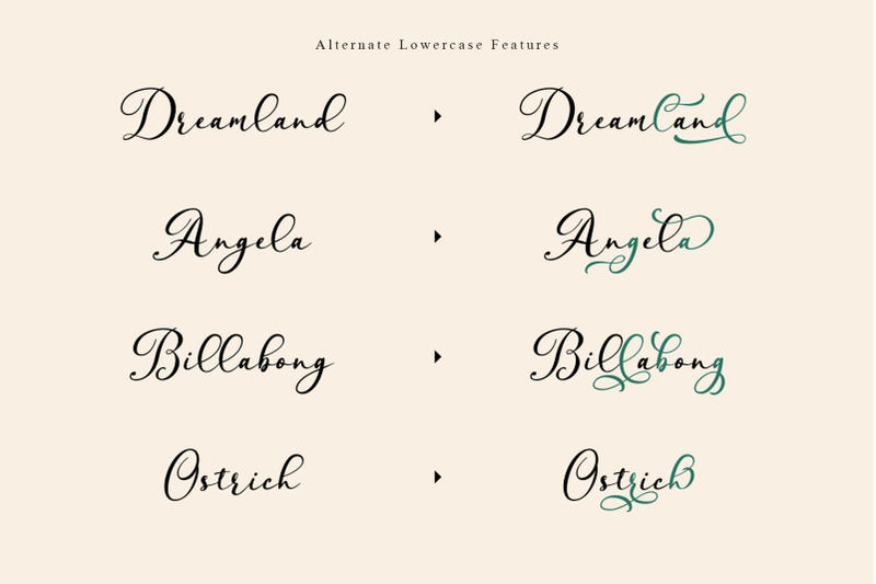 ansley-a-lovely-script-font