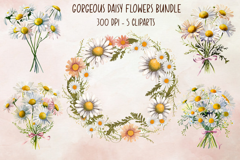 gorgeous-daisy-flowers-bundle