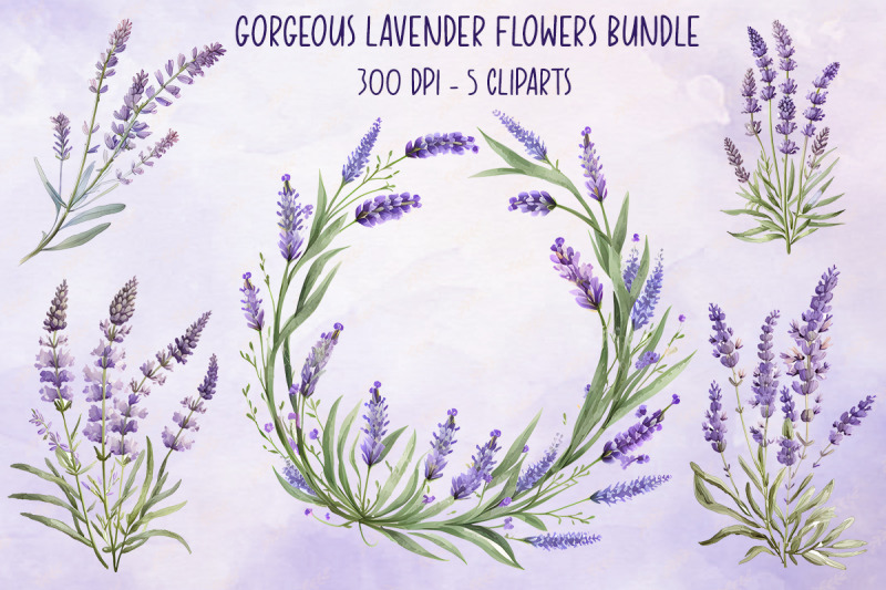 gorgeous-lavender-flowers-bundle