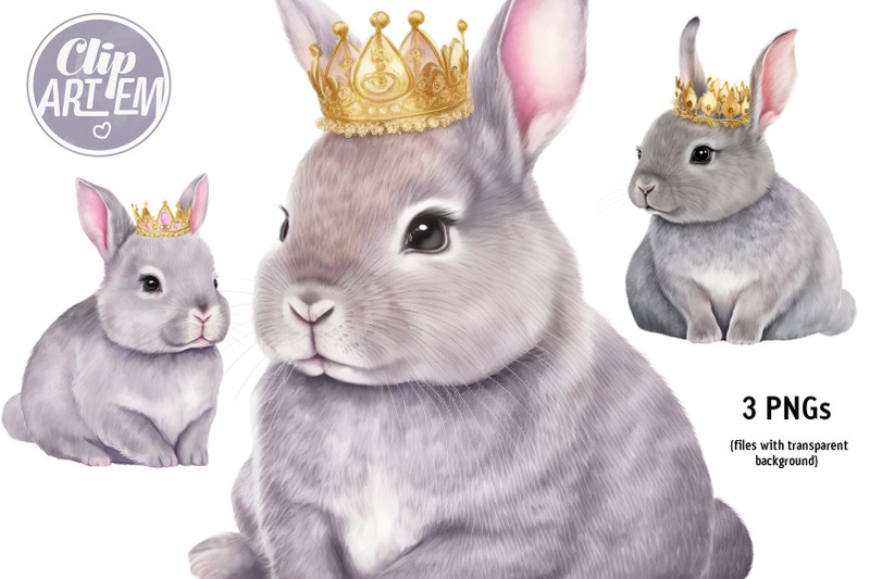 princess-bunny-clip-art-3-png-rabbit-iimages-bundle