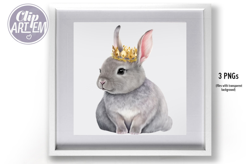 princess-bunny-clip-art-3-png-rabbit-iimages-bundle