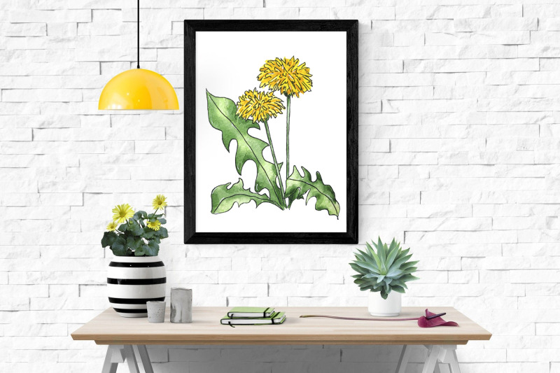 watercolor-wildflower-dandelion-coloring-png-jpg