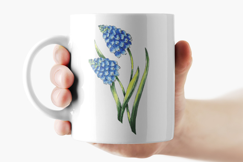 flowers-muscari-watercolor-clipart-png
