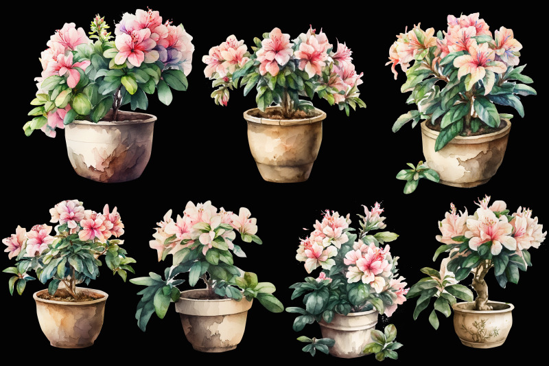 watercolor-home-blooming-flowers-in-a-pot-pink-azalea-blooms-home-fl