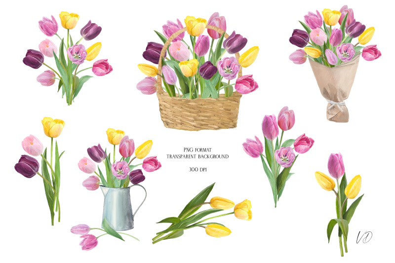 bouquets-blooming-tulip-flowers-png