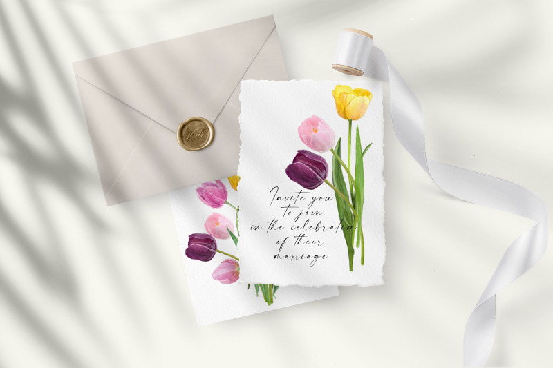 bouquets-blooming-tulip-flowers-png