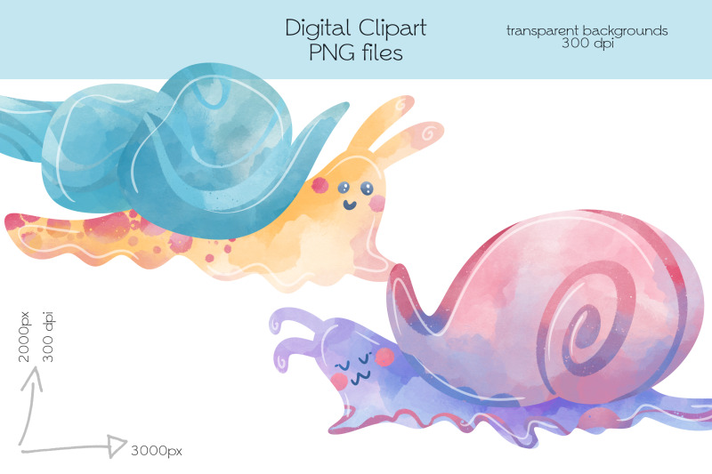 snails-clipart-png-files