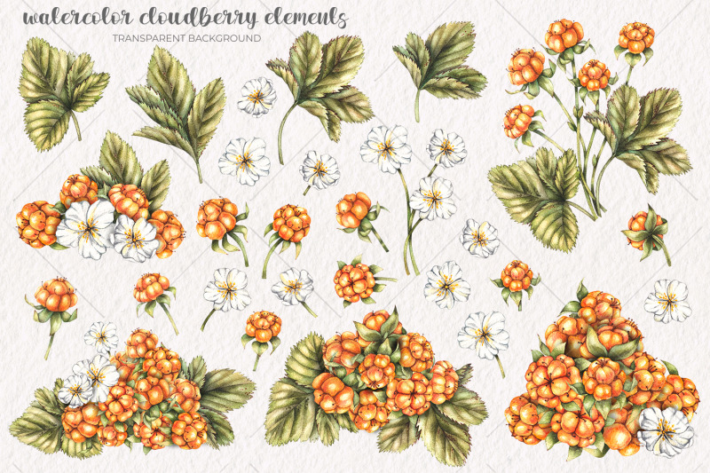 watercolor-cloudberry-watercolor-clipart-png