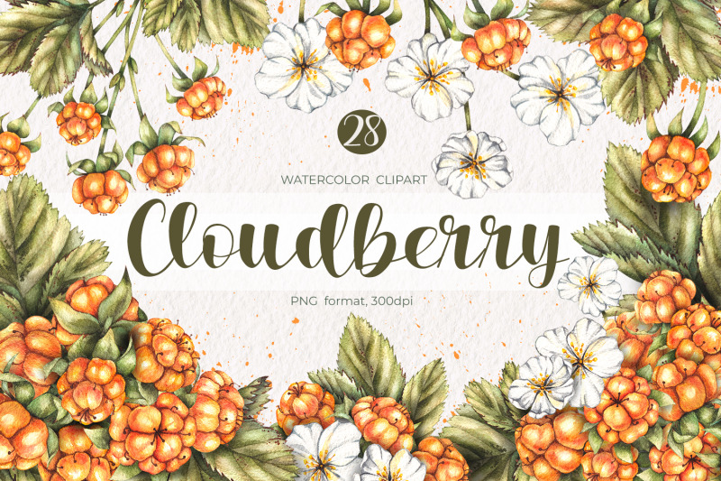 watercolor-cloudberry-watercolor-clipart-png