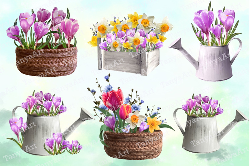 crocuses-set