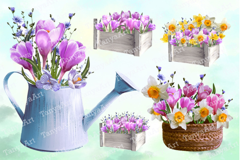 crocuses-set