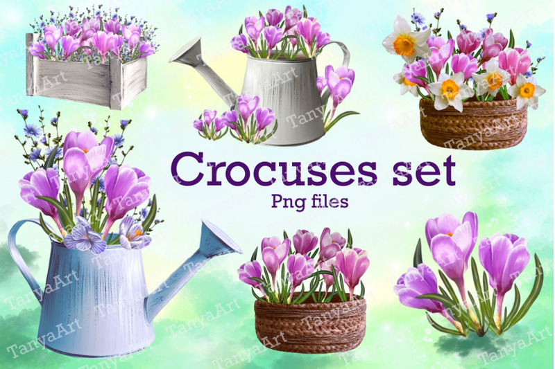 crocuses-set