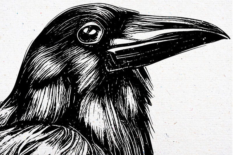 crow-bird-brushes