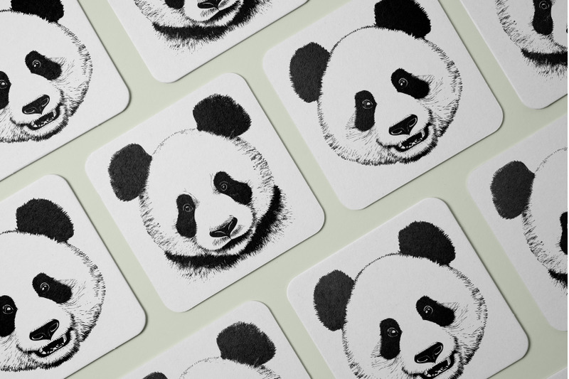panda-face-graphics-and-brushes-set