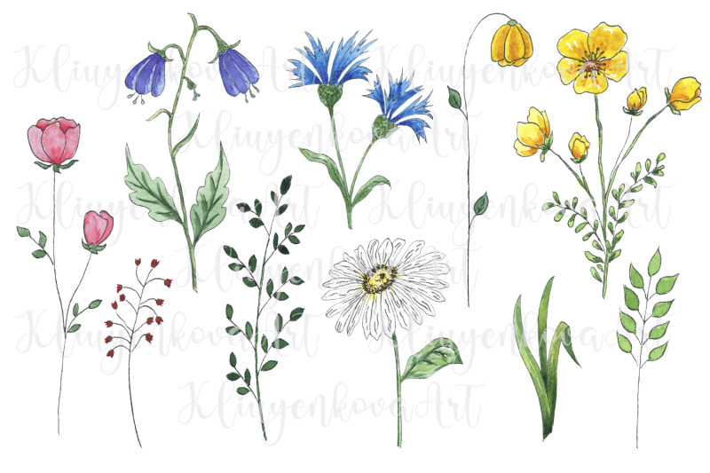 watercolor-wild-flowers-clipart-png