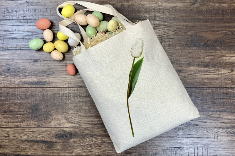 white-tulips-clipart-vector-png-jpeg