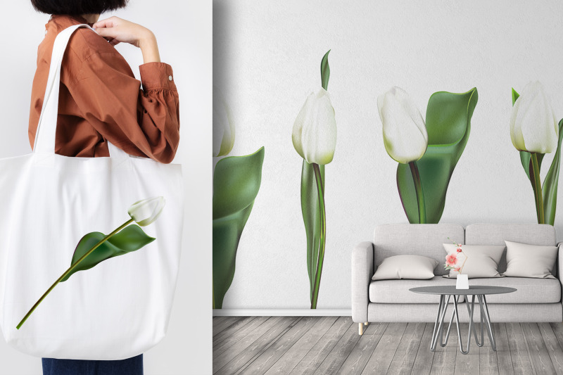 white-tulips-clipart-vector-png-jpeg