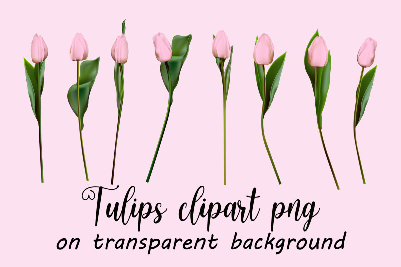 pink-tulips-clipart-vector-png-jpeg