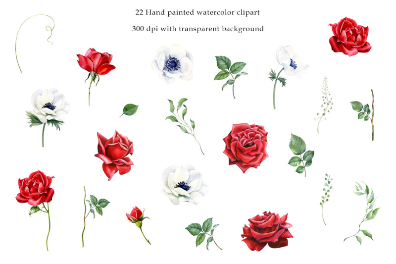 watercolor-rose-flower-clipart