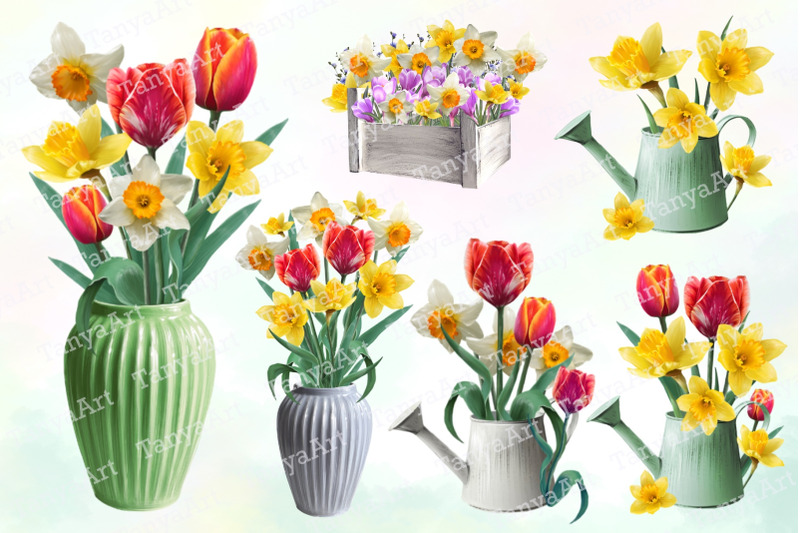 daffodils-flowers