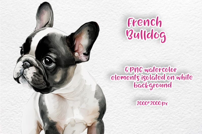 french-bulldog-watercolor