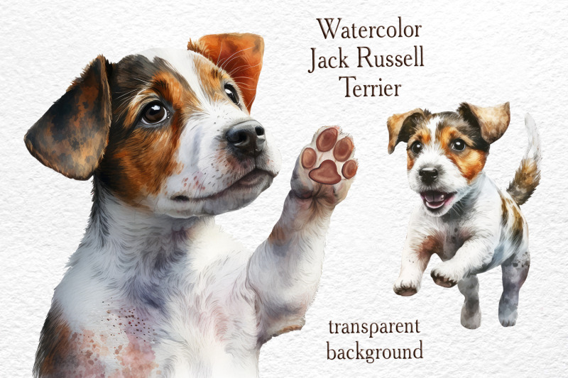 jack-russell-terrier-watercolor-illustrations