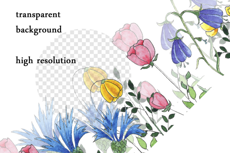 watercolor-border-clipart-wildflower-png
