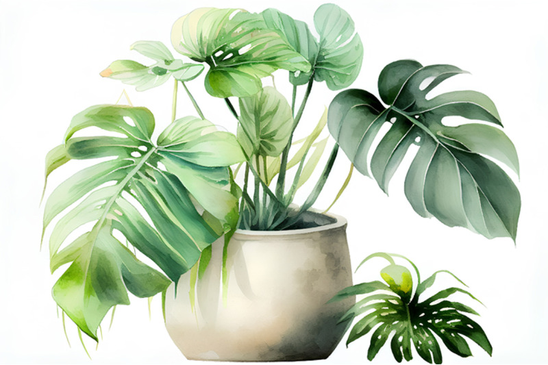 tropical-plants-collection