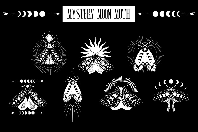 mystery-moon-moth