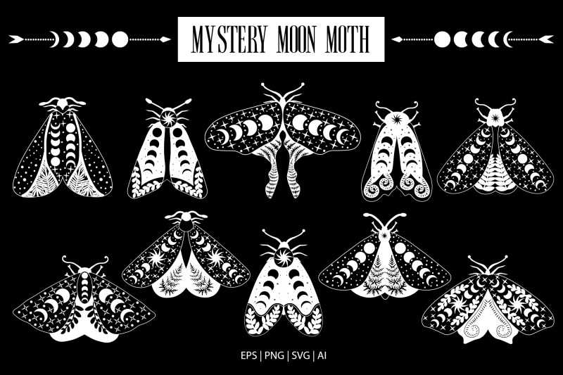 mystery-moon-moth