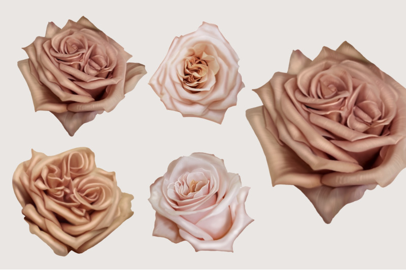 wedding-watercolor-rose-clipart-wedding-roses-flower